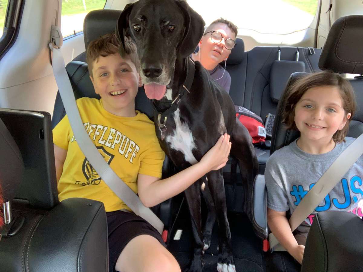 Florida & Georgia: Our Dog-friendly Road Trip!